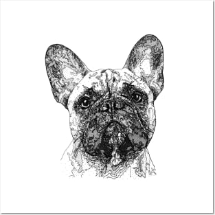 French bulldog Posters and Art